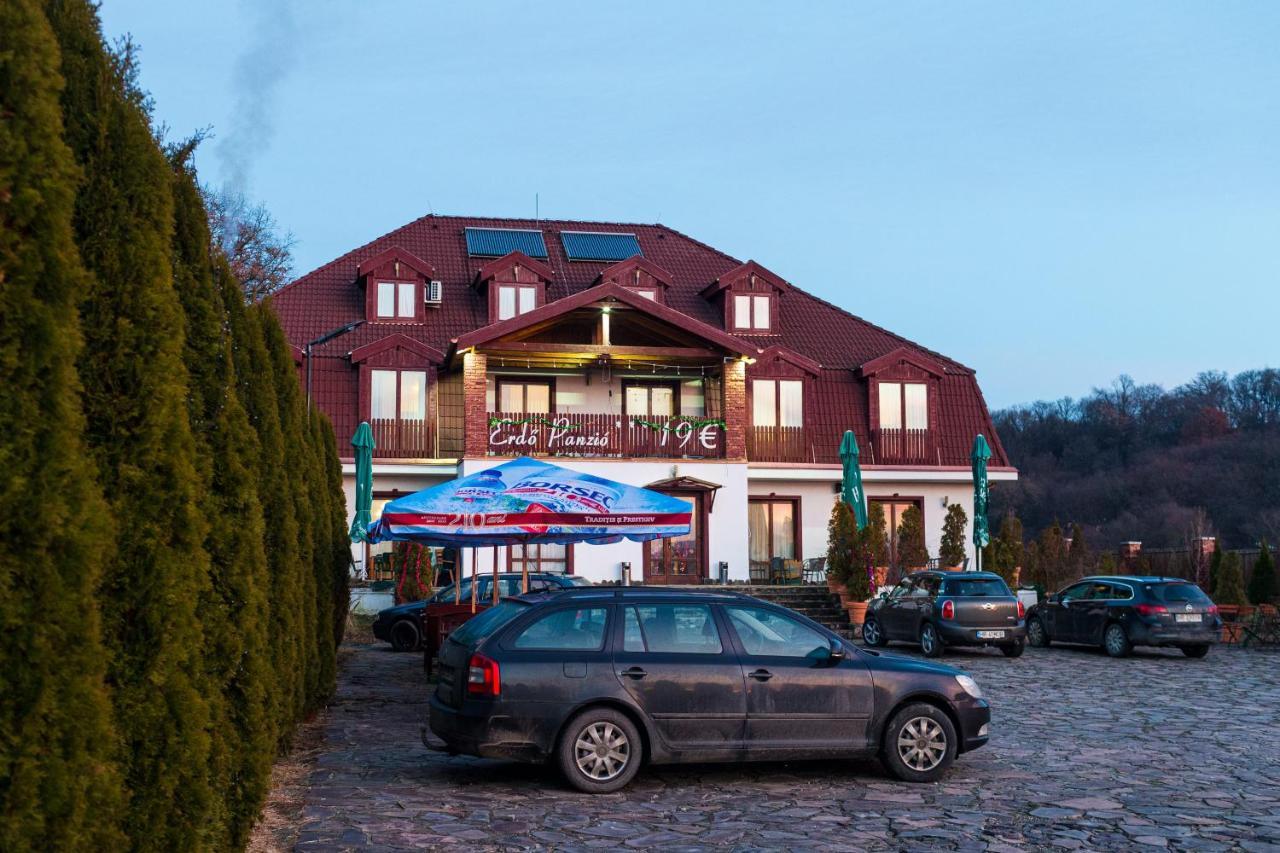 Pensiunea Si Restaurant Erdo Odorheiu Secuiesc Dış mekan fotoğraf