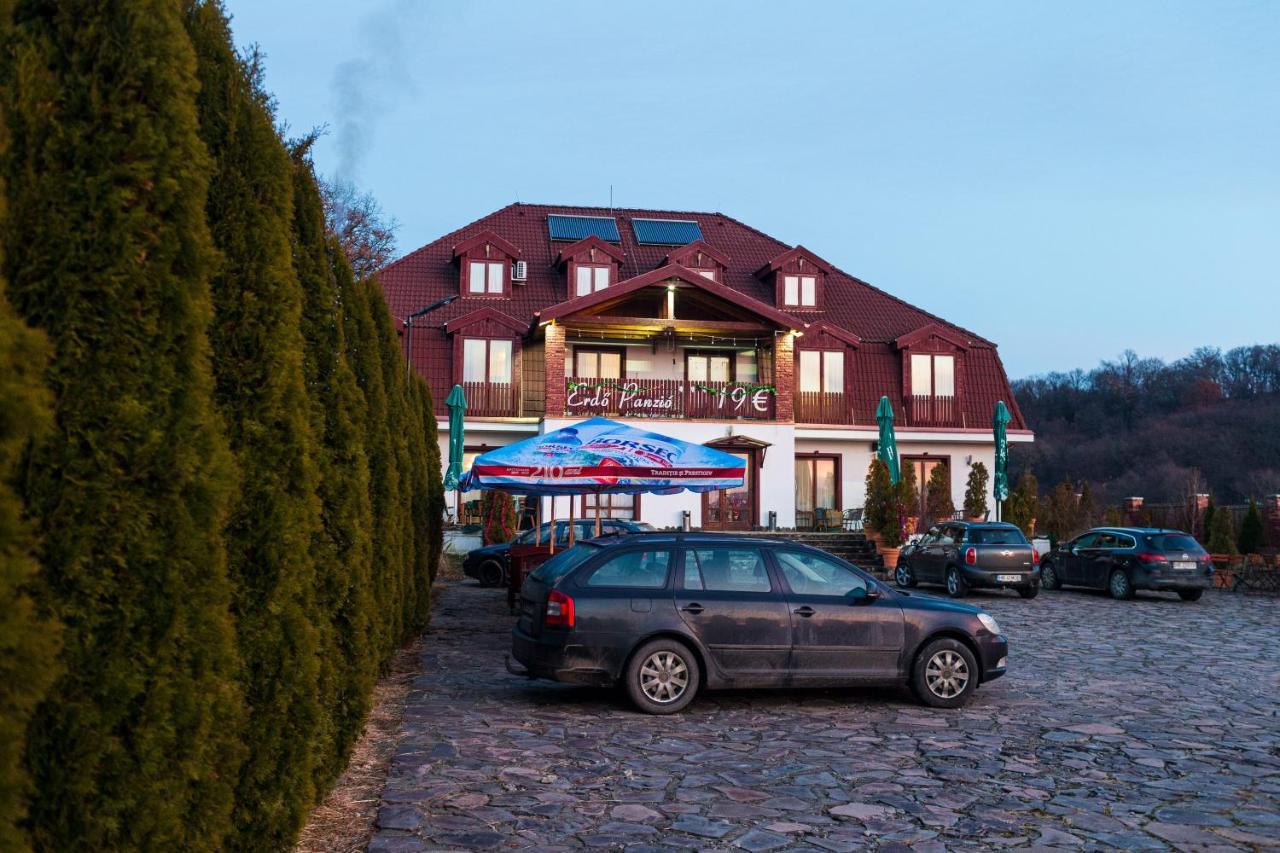 Pensiunea Si Restaurant Erdo Odorheiu Secuiesc Dış mekan fotoğraf